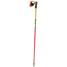 LEKI Worldcup Racing Comp 2020