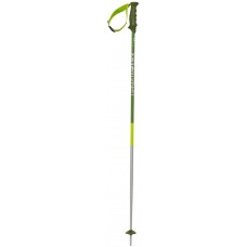 Völkl Phantastick 2 Green 2019
